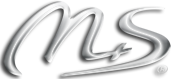 Logo M + S Solution GmbH